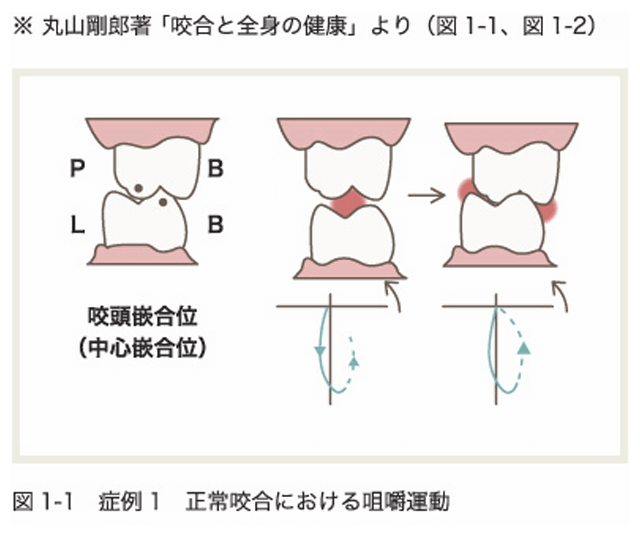 正しくない咀嚼